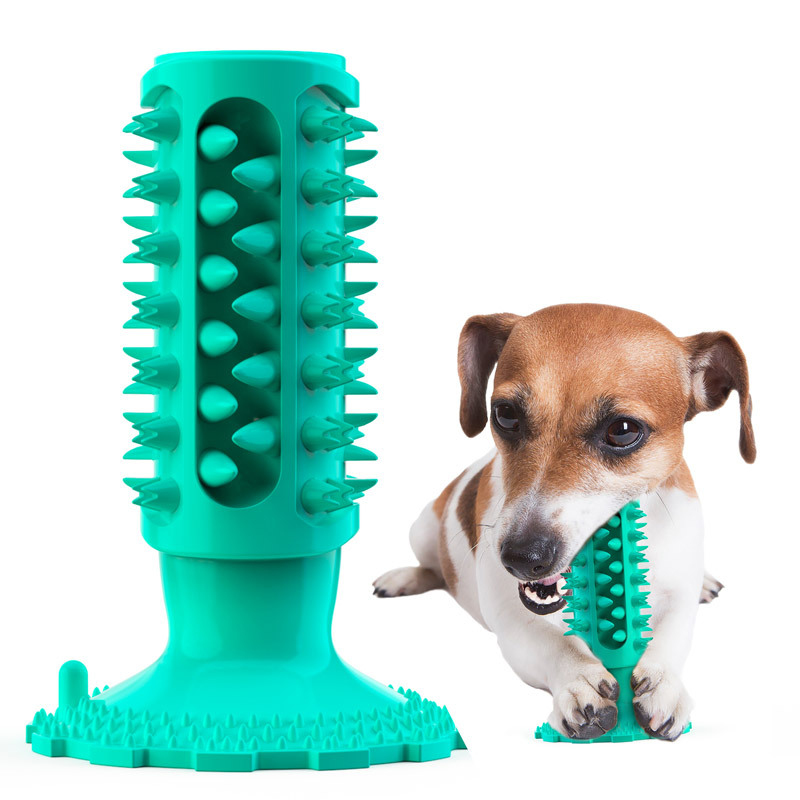 Pet Supplies Amazon - Hundespielzeug mit Saugnapf, klangvoller Kau-Stick, Amazon-Bestseller,