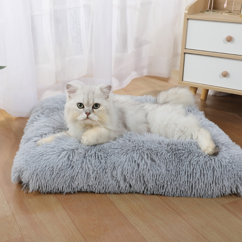 Pet Supplies Amazon - Neue Amazon-Hundematte: Langflorige Katzen- und Hundeliege