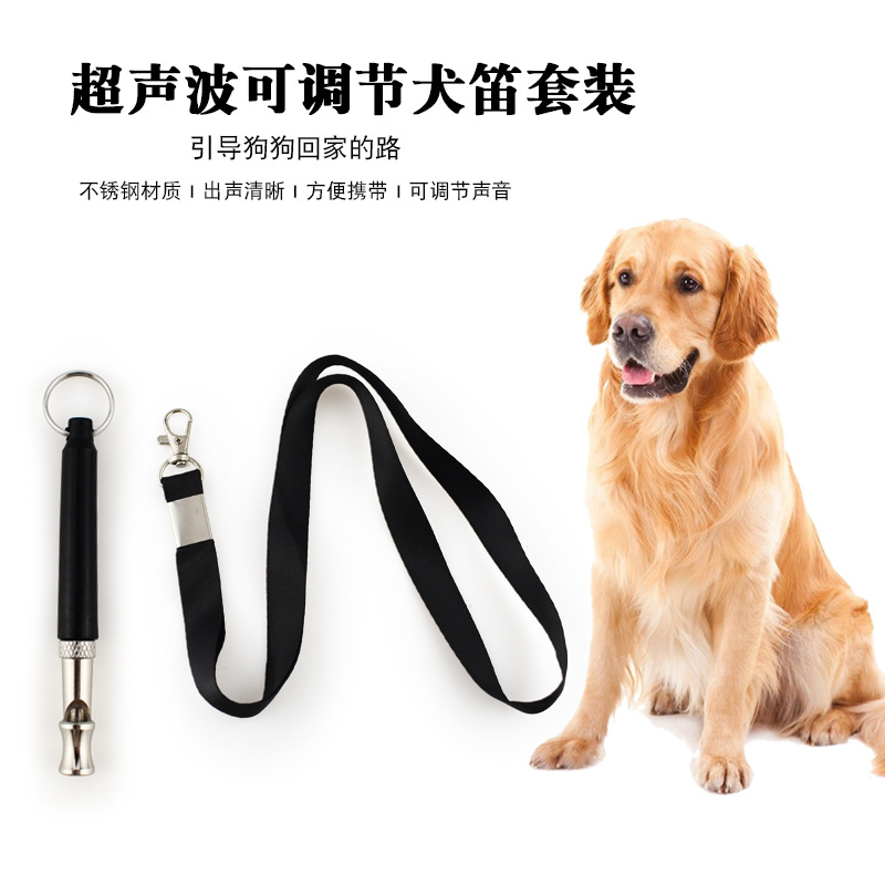 Pet Supplies Amazon - Amazon liefert direkt Hundetrainingsartikel, ein Ultraschall-Hundepfeifen-