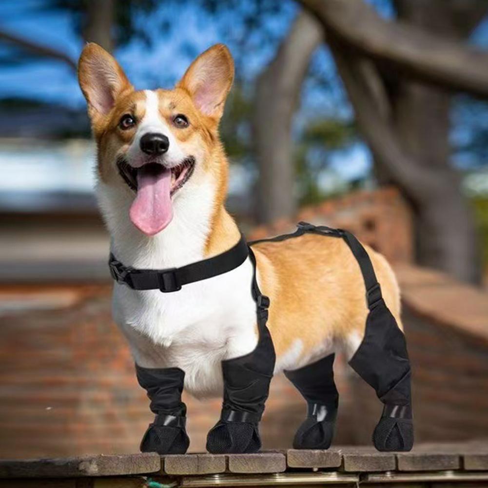 Dog Booties Paw Protector - Hunde-Regenstiefel mit Hosenträgern, wasserdichte Pfotenschützer, verstellbare