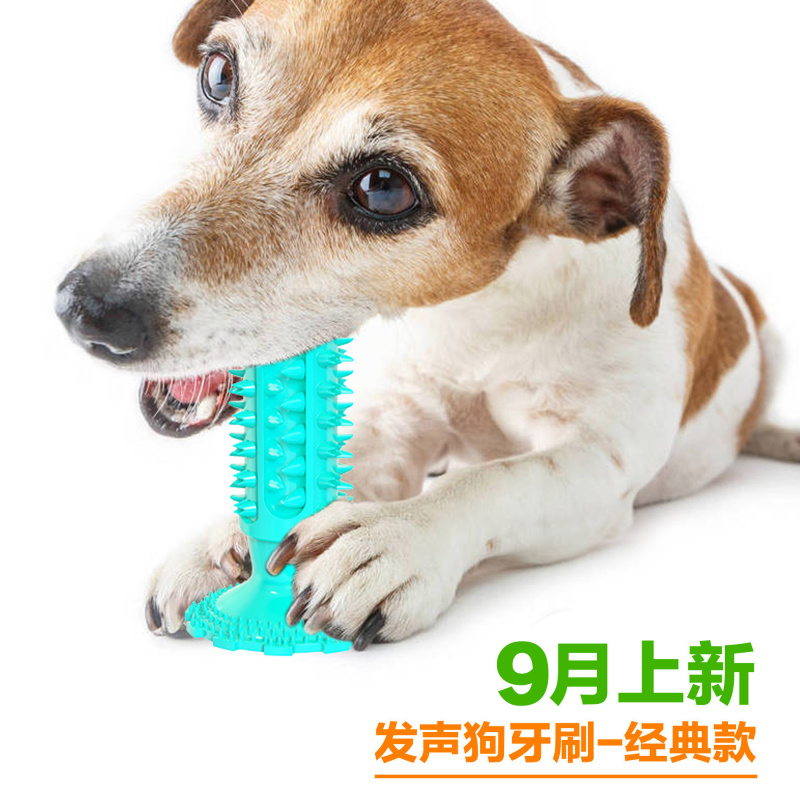 Hundespielzeug mit Saugnapf, k – Pet Supplies Amazon Bewertung und Preis