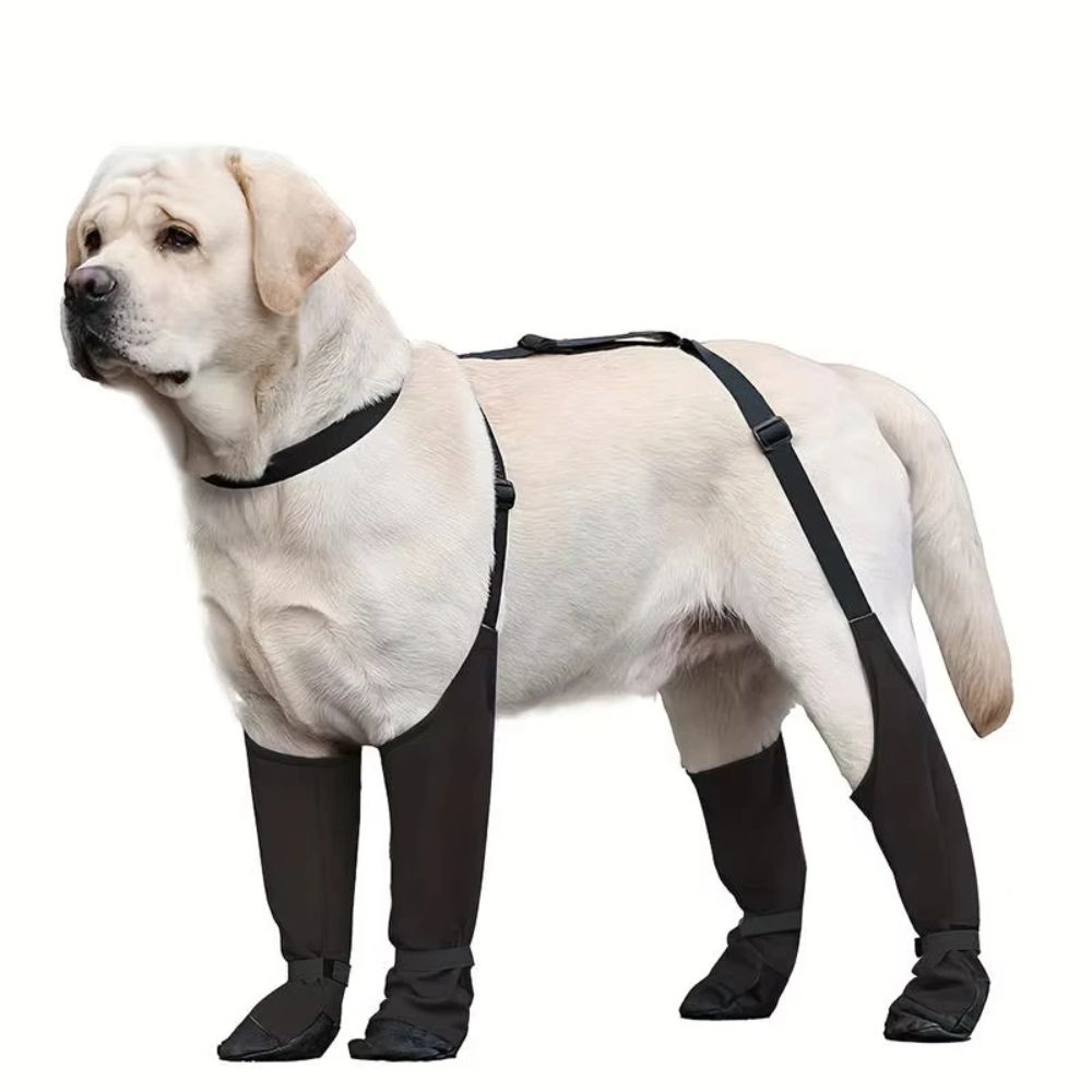 Anti-Fall-wasserdichte Hundesc – Dog Booties Paw Protector Bewertung und Preis