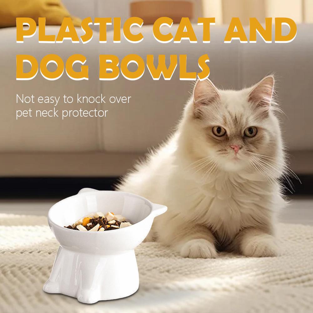 Schwarze Katzenschüssel Amazon – Pet Supplies Amazon Bewertung und Preis