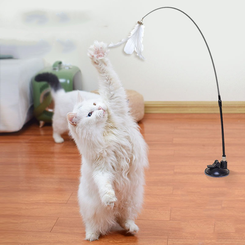 Neuer leistungsstarker Katzens – Pet Supplies Amazon Bewertung und Preis