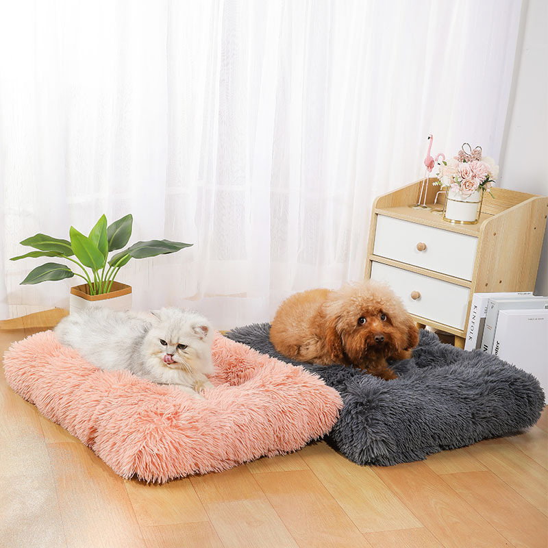 Neue Amazon-Hundematte: Langfl – Pet Supplies Amazon Bewertung und Preis