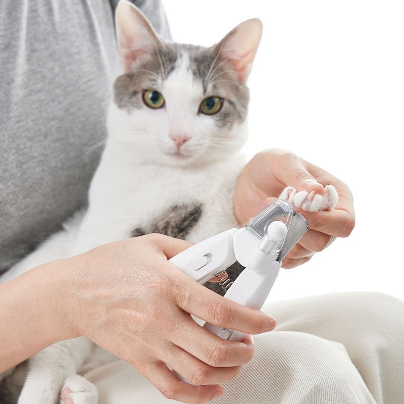 PETKIT Haarschneidemaschine fü – Pet Supplies Grooming Hours Bewertung und Preis