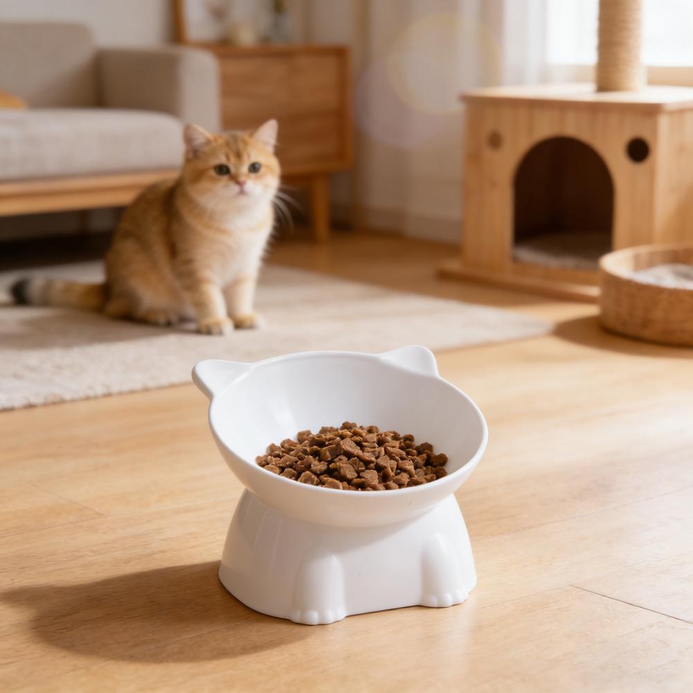 Schwarze Katzenschüssel Amazon – Pet Supplies Amazon Bewertung und Preis