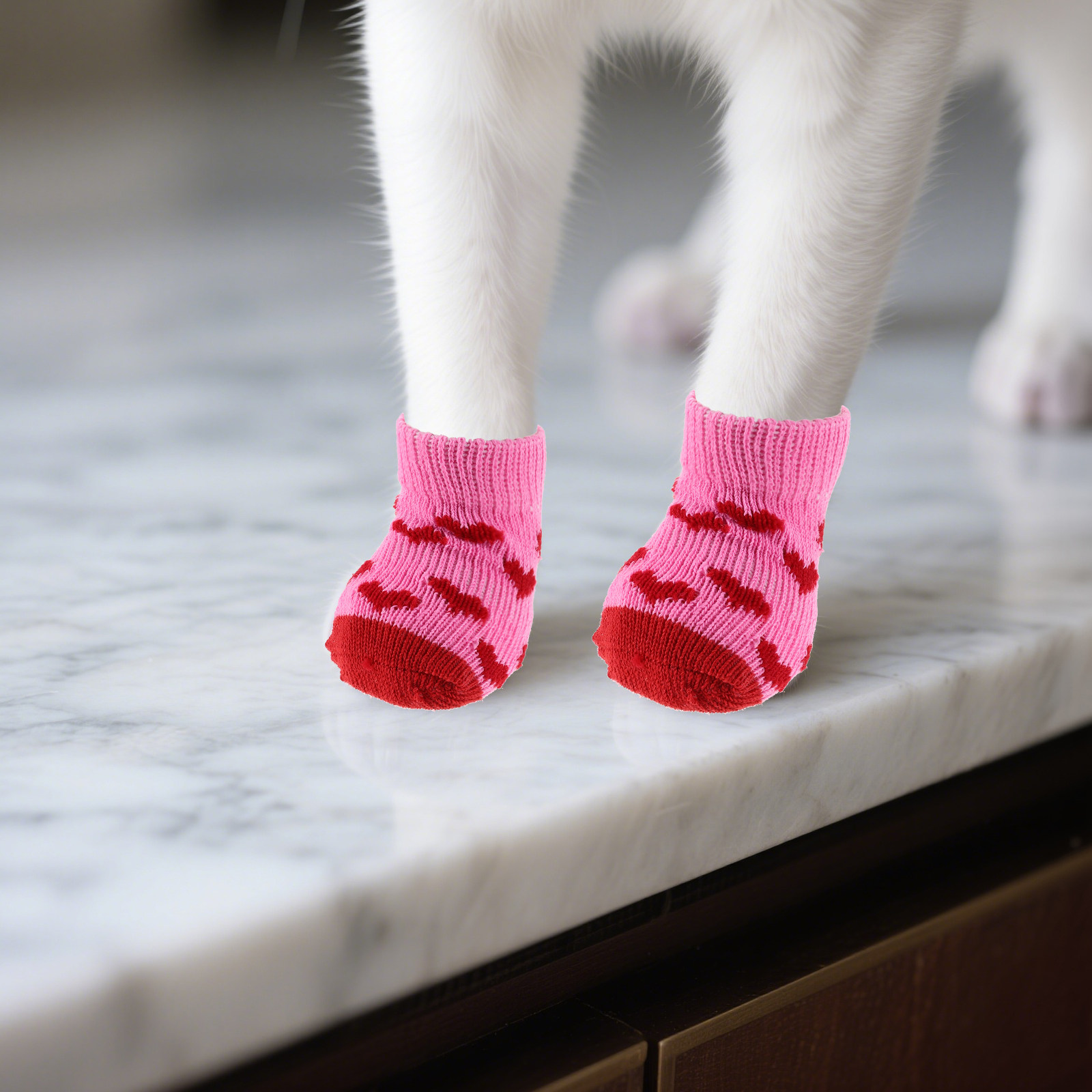 8 Stück Haustier-Pfotenschuhe  – Dog Booties Paw Protector Bewertung und Preis