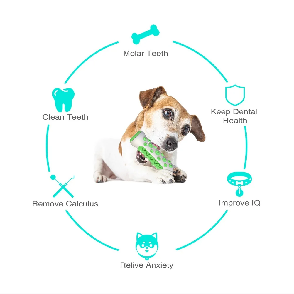 Heimtierbedarf Amazon Pop Hund – Pet Supplies Amazon Bewertung und Preis