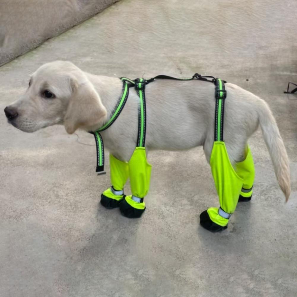 Hunde-Beinschoner mit Riemen,  – Dog Booties Paw Protector Bewertung und Preis
