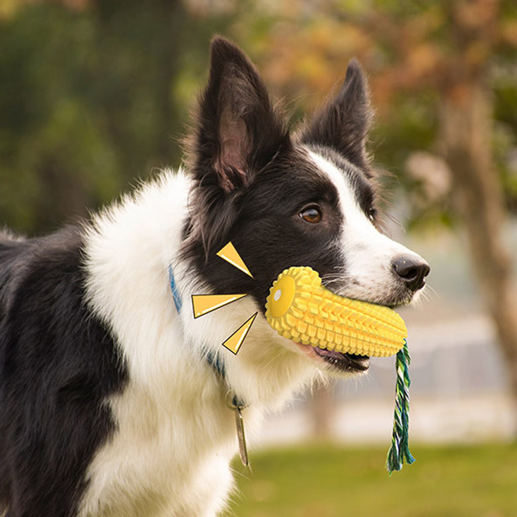 Quietschendes Corn-Dog-Zahnbür – Pet Supplies Amazon Bewertung und Preis