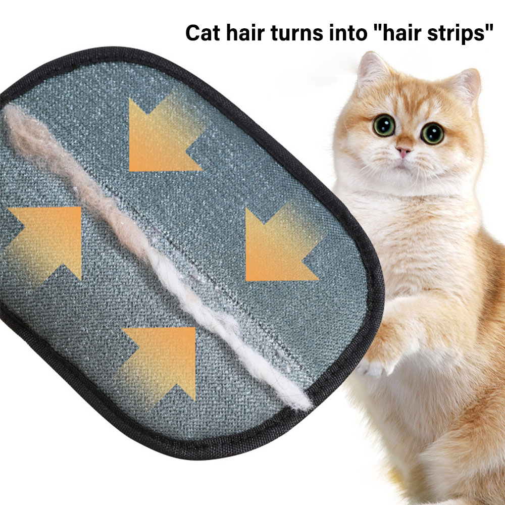 1/2/5 Stück Tierhaarentferner- – Pet Hair Remover Brush Bewertung und Preis