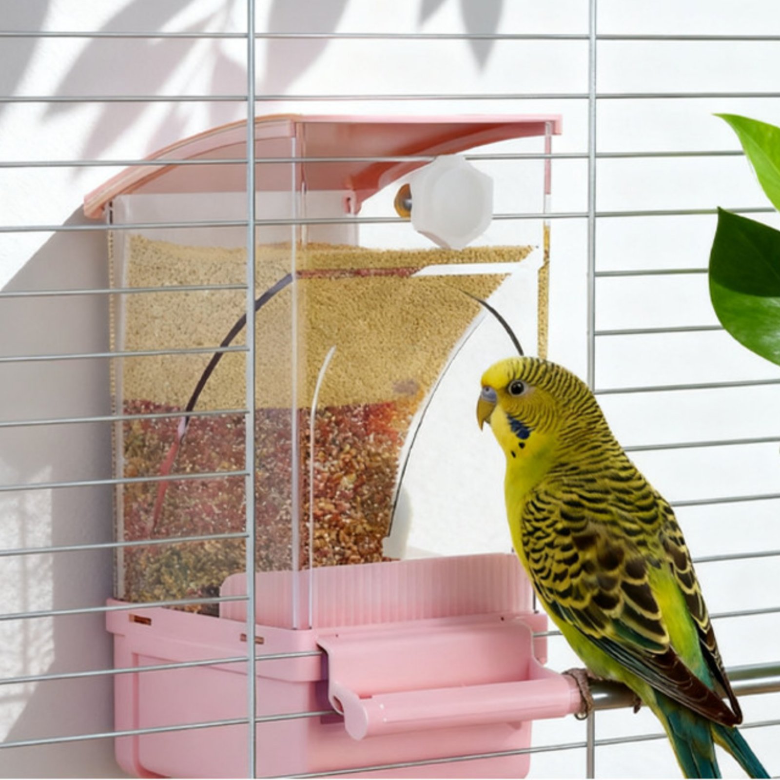 Automatischer Vogelfutterspend – Pet Supplies In Bewertung und Preis