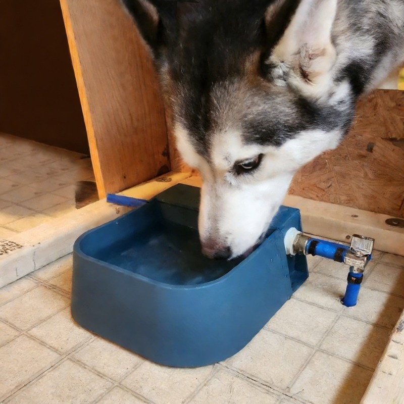 Automatischer Wasserspender fü – Pet Supplies Unlimited Bewertung und Preis