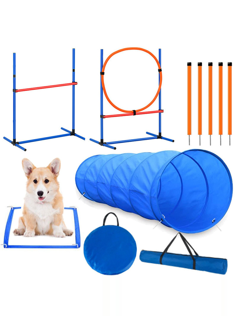 Hunde-Hindernistraining Wettbe – Pet Supplies In Bewertung und Preis