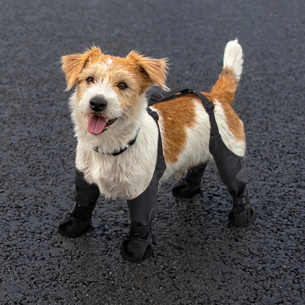 Anti-Fall-wasserdichte Hundesc – Dog Booties Paw Protector Bewertung und Preis