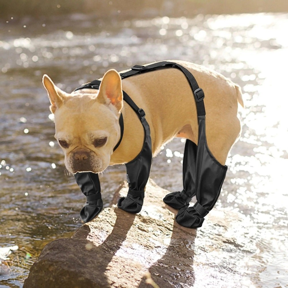 Anti-Fall-wasserdichte Hundesc – Dog Booties Paw Protector Bewertung und Preis