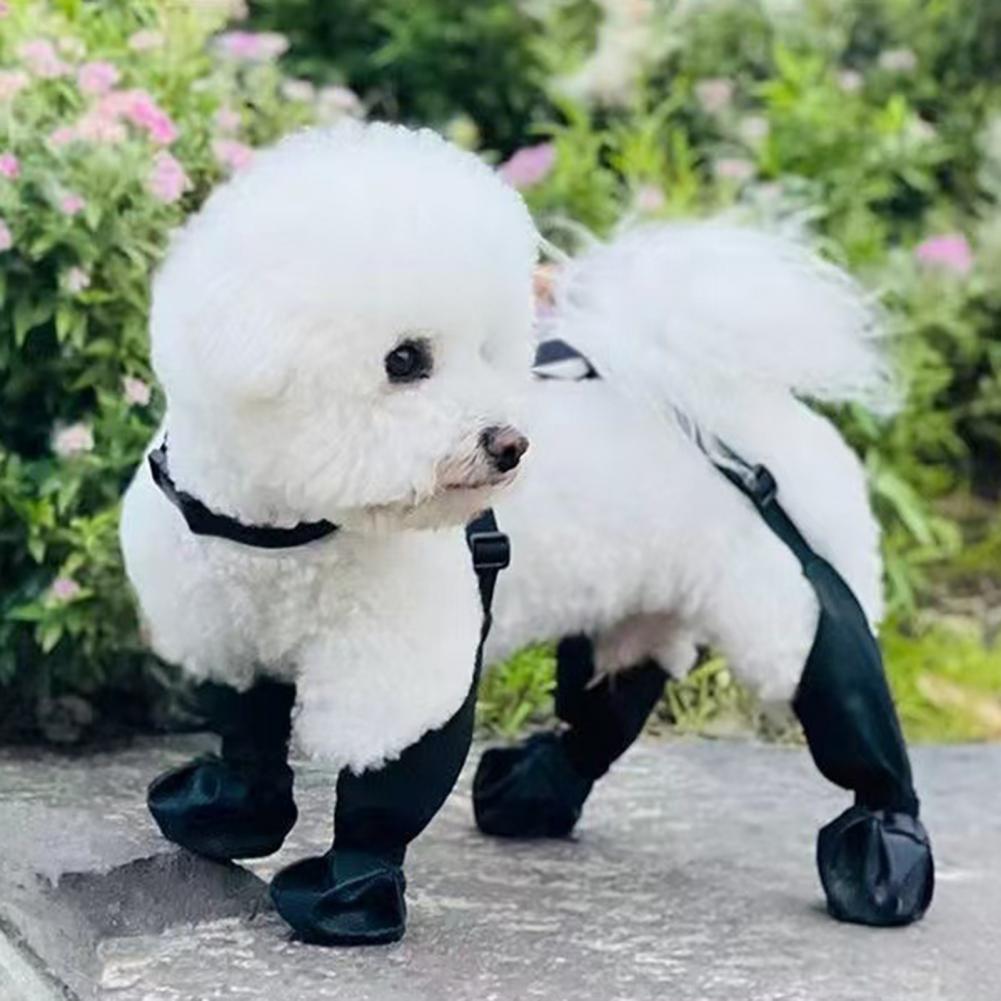 Hunde-Regenstiefel mit Hosentr – Dog Booties Paw Protector Bewertung und Preis