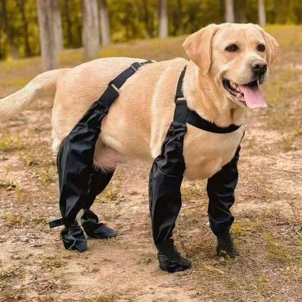 Hunde-Regenstiefel mit Hosentr – Dog Booties Paw Protector Bewertung und Preis