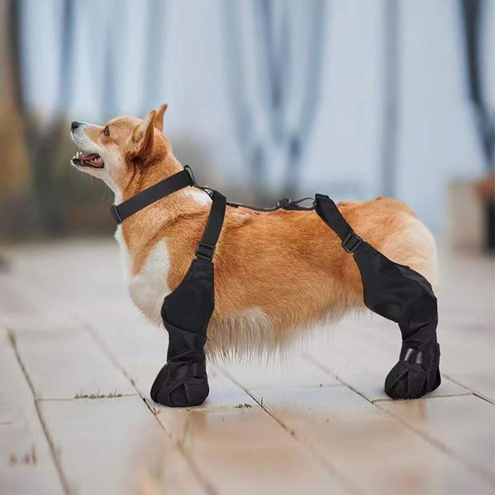 Hunde-Regenstiefel mit Hosentr – Dog Booties Paw Protector Bewertung und Preis