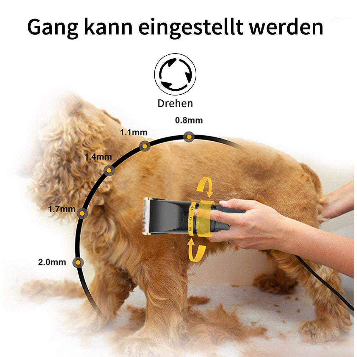 Verbesserte Geräuscharme Katze – Pet Supplies Grooming Hours Bewertung und Preis